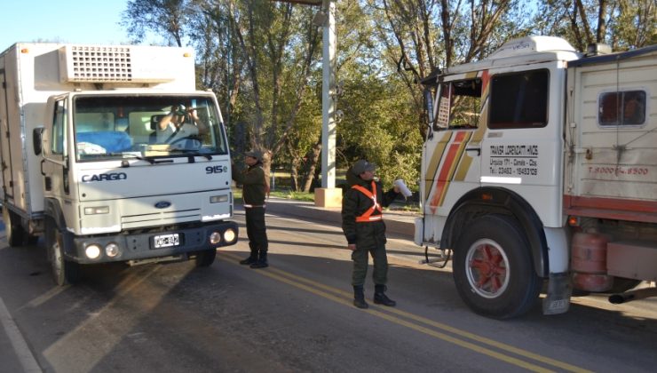 Decomisaron más de 200 kg de pescado transportados en condiciones inapropiadas