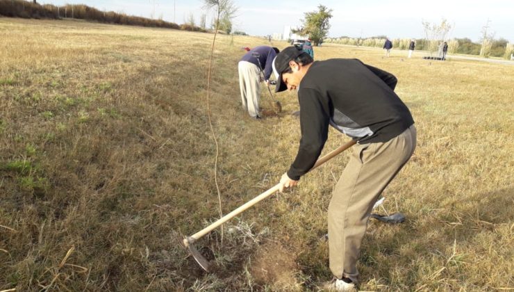 Mil nuevos árboles embellecen y cuidan el entorno natural de Santa Rosa del Conlara