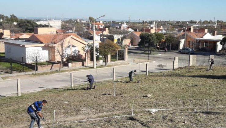 Plantaron más de 220 árboles en barrios de la ciudad de San Luis