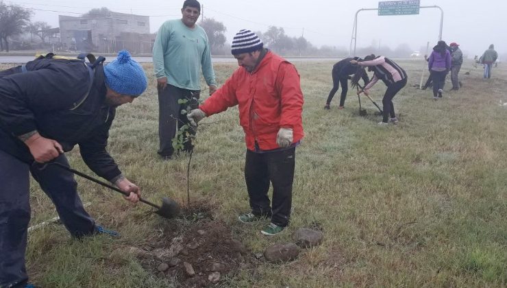 Con 3.600 árboles, las tareas de forestación llegan a Nogolí