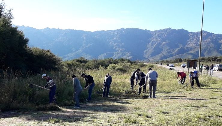 El Plan Forestal llegó con sus árboles a Cortaderas