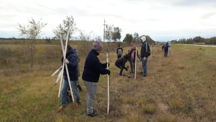 El Plan Forestal Provincial llegó a Tilisarao