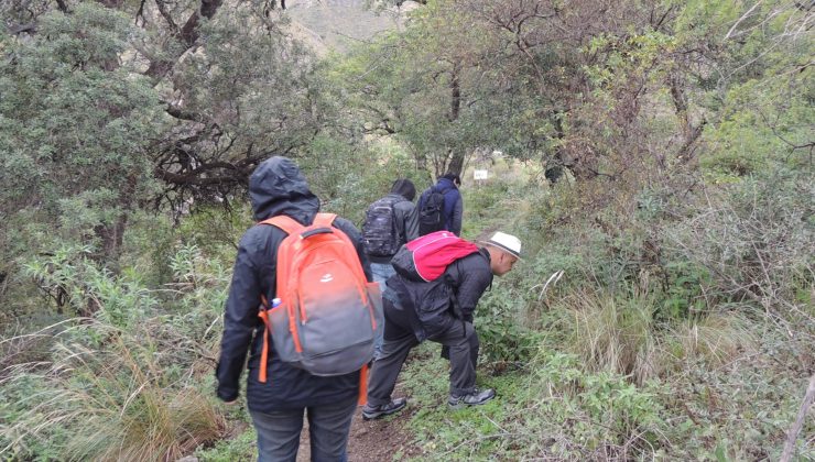 Aprendizaje y experiencia universitaria en la Reserva Mogote Bayo