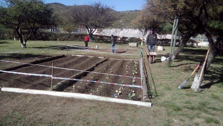 Crecen las huertas en los parques del interior