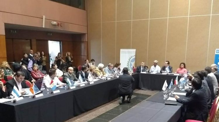 San Luis reclamó en la Reunión Plenaria del Consejo Federal por deudas que Nación tiene con los puntanos