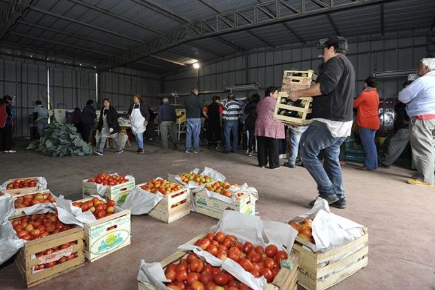 Vecinos de San Luis compraron más de 3.000 kg de verduras en la feria de “Sol Puntano”