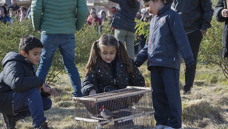 Con forestación y liberación de aves, se celebró el Día Mundial del Medio Ambiente