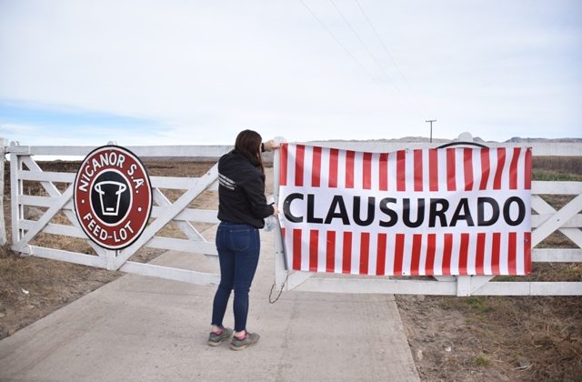 Medio Ambiente clausuró un feedlot por tirar efluentes en una cuenca hídrica