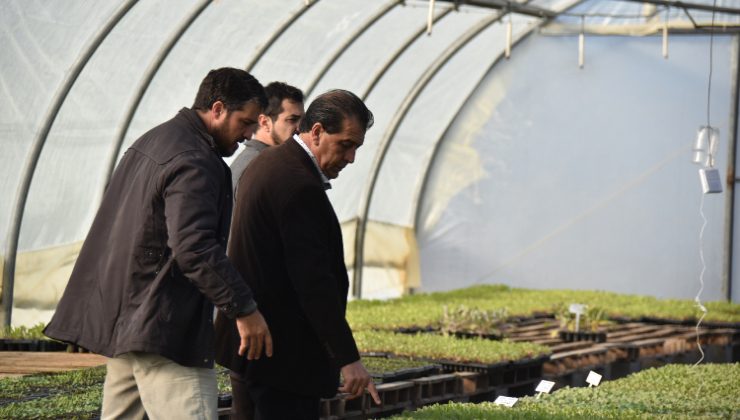 Freixes: “El desarrollo agroindustrial de ‘Sol Puntano’ traerá grandes beneficios para San Luis”