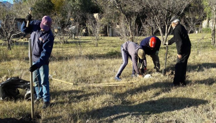 El Gobierno plantó 300 frutales en Leandro N. Alem