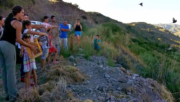 Día Mundial del Medio Ambiente: liberación de aves y forestación en Terrazas del Portezuelo