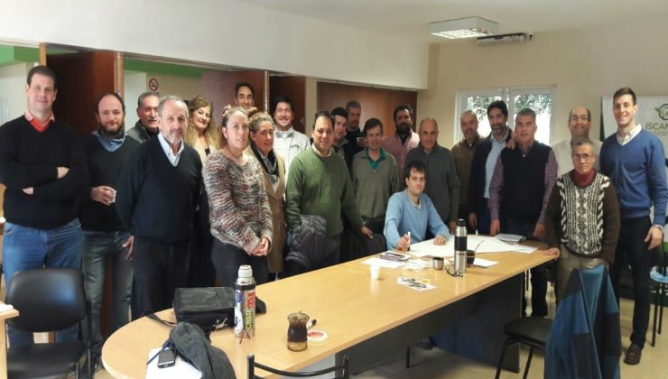 Plan Estratégico Apícola 2030: San Luis participó del Taller Regional Cuyo