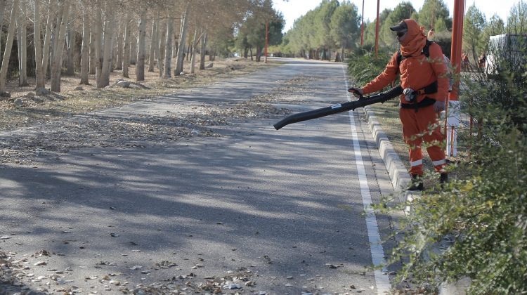 Intensos trabajos de podas correctivas, desmalezado y limpieza en las rutas provinciales