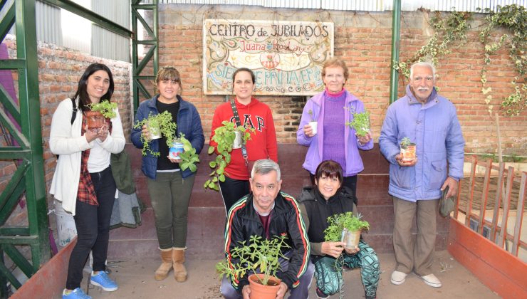 Realizan producción de plantas en los centros de jubilados