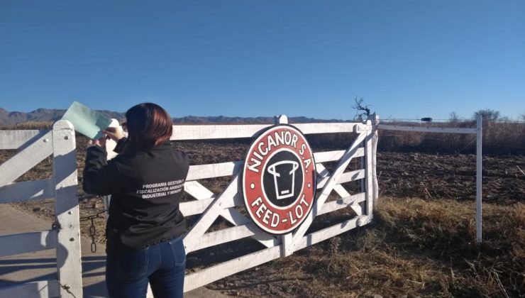 Violaron la faja de clausura del feedlot Nicanor y el Gobierno notificó al SENASA