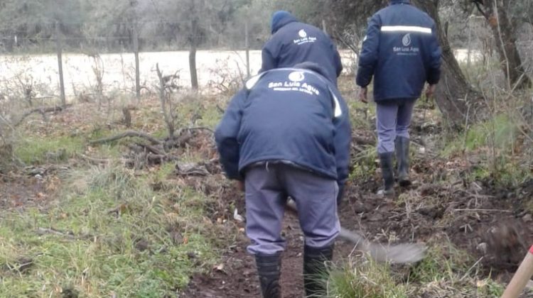 Red de Canales: mantenimiento, limpieza y desmalezado de la traza y sus márgenes