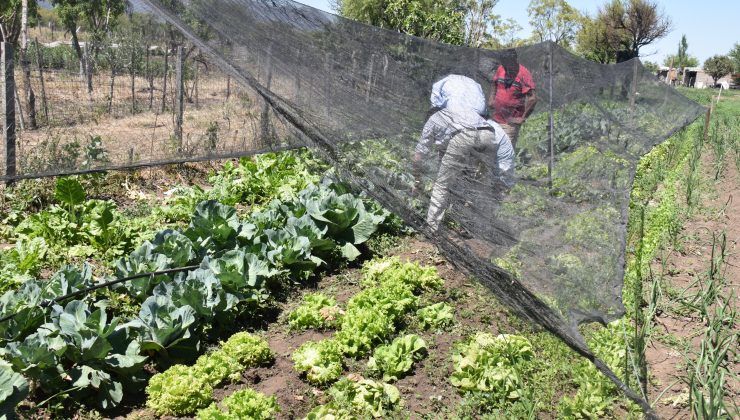 Capacitan a productores en Villa de la Quebrada