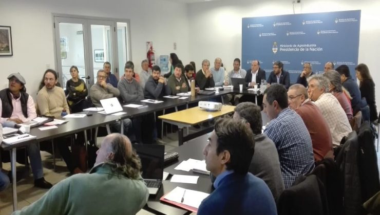 San Luis participó en la Comisión de Ganadería y Sanidad Animal del Consejo Federal Agropecuario