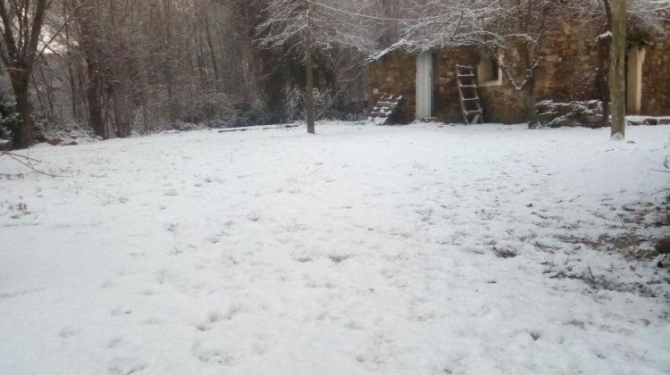 La Carolina amaneció cubierta de nieve