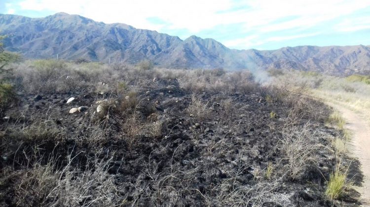 Detienen a una persona por iniciar un incendio