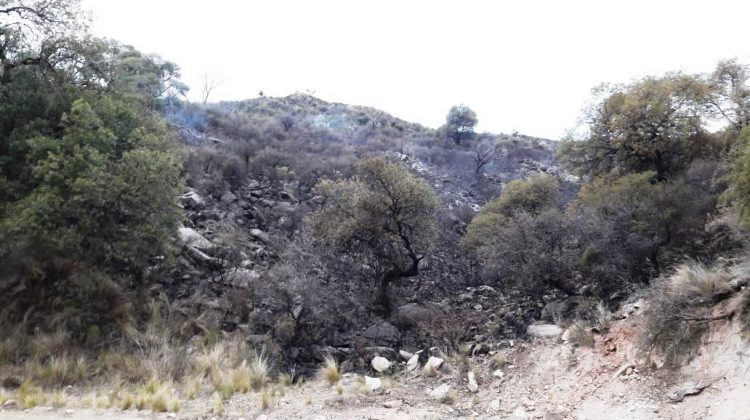 Investigan las causas del incendio en Potrero de los Funes