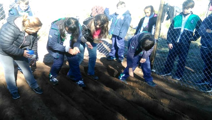 Una escuela pública digital ya tiene su huerta ecológica