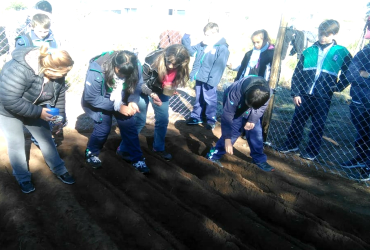 Alumnos y docentes sembraron semillas en su nueva huerta ecológica.