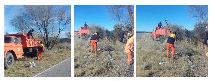 Rutas provinciales: poda correctiva sobre Ruta N° 2