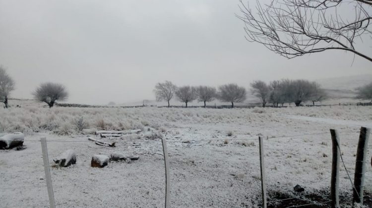 La nieve llegó otra vez a La Carolina