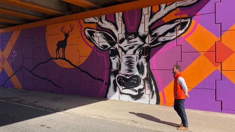 Fauna provincial y arte pop en el nuevo mural del puente de La Toma