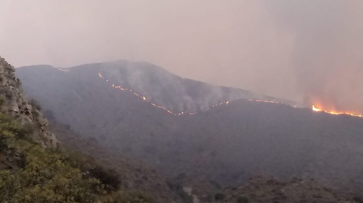 Bomberos extinguieron un incendio en Quebrada de Huascara; el fuego sigue en la cima de las sierras