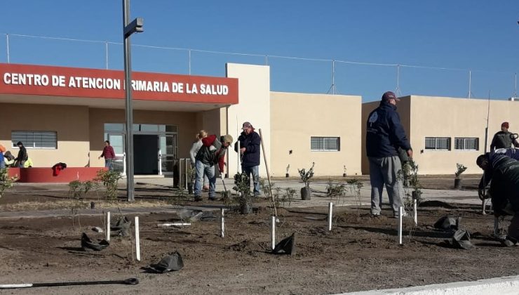 Forestaron con 600 árboles cinco centros de salud