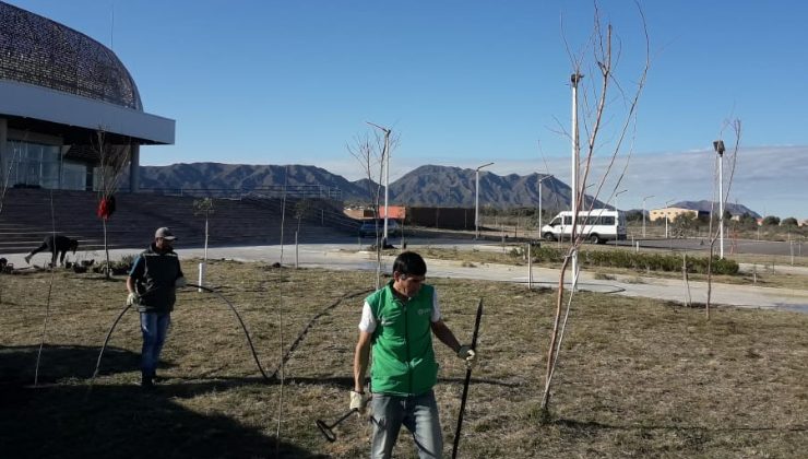 Realizaron tareas de limpieza y forestación en el Centro de Convenciones de La Punta