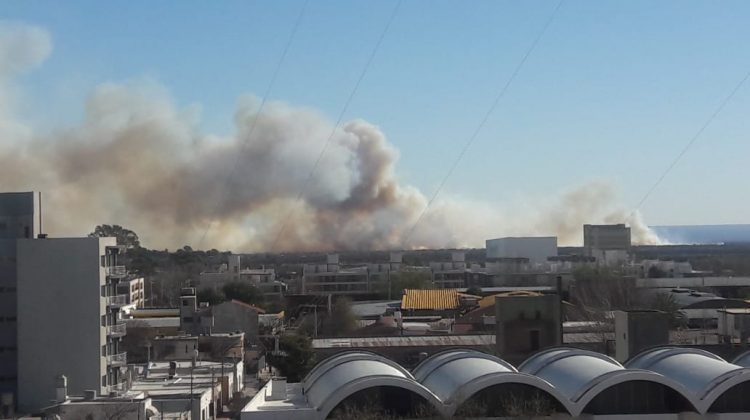 Bomberos y brigadistas combaten cuatro incendios en diferentes puntos de la provincia