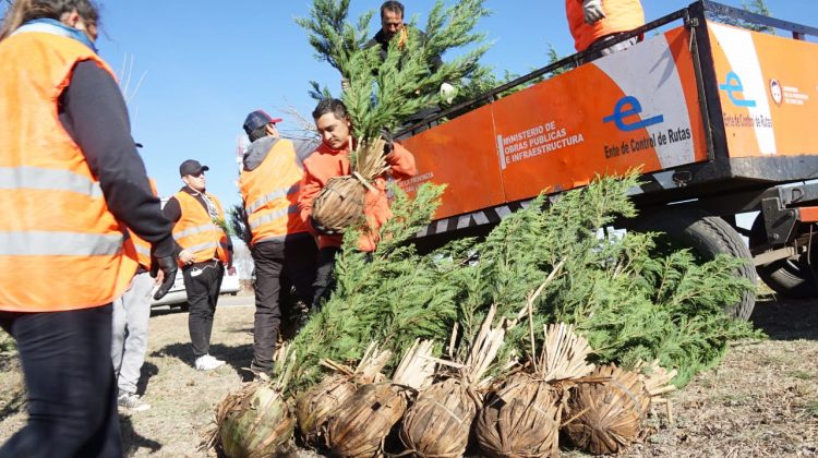 El Gobierno de San Luis lleva adelante un plan de parquización de rutas