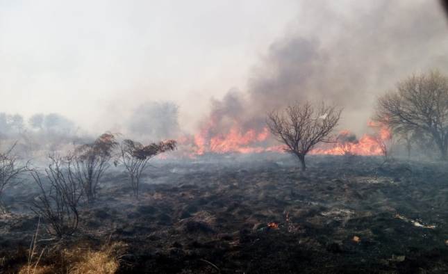 Bomberos combaten el fuego en el norte y sur de la ciudad capital