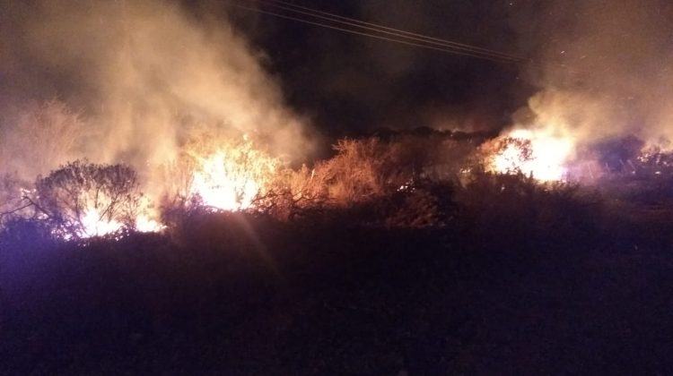 Bomberos extinguieron el incendio en Las Chacras