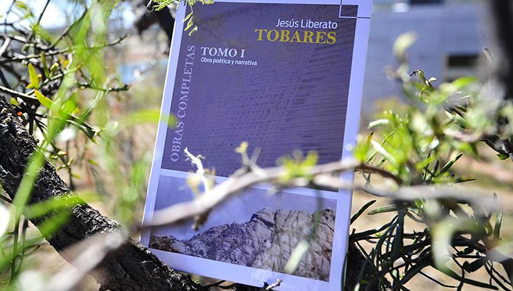 Tobares, el poeta del Cerro Blanco