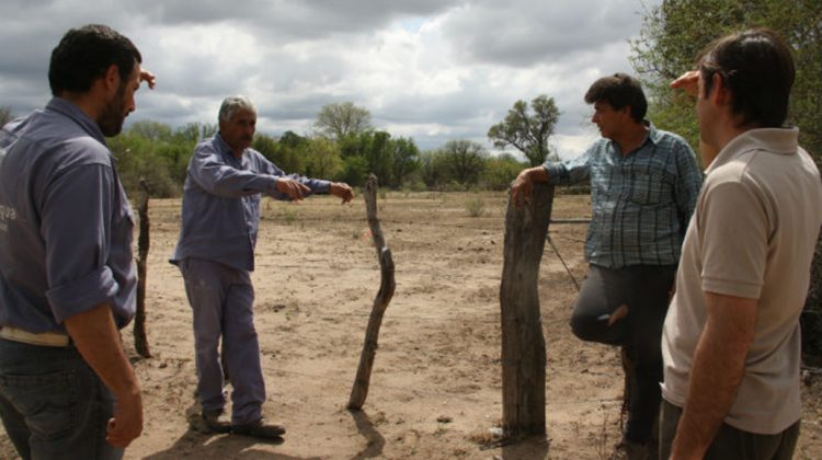 Canales: se renuevan trazas para incluir a más usuarios regantes