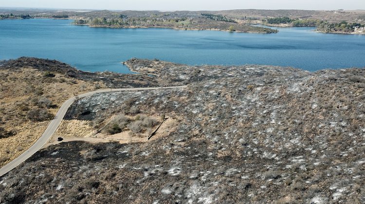 Un incendio intencional arrasó con un sector del Centro de Conservación de Vida Silvestre