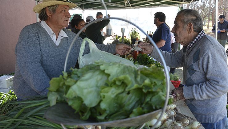 Sol Puntano ofrece su cosecha del día a precios convenientes