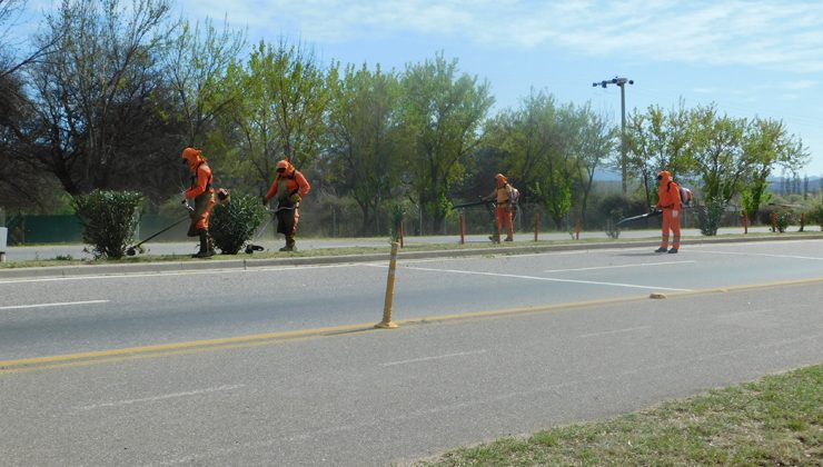 Desarrollan trabajos de poda, limpieza y corte de pasto en las rutas y autopistas provinciales