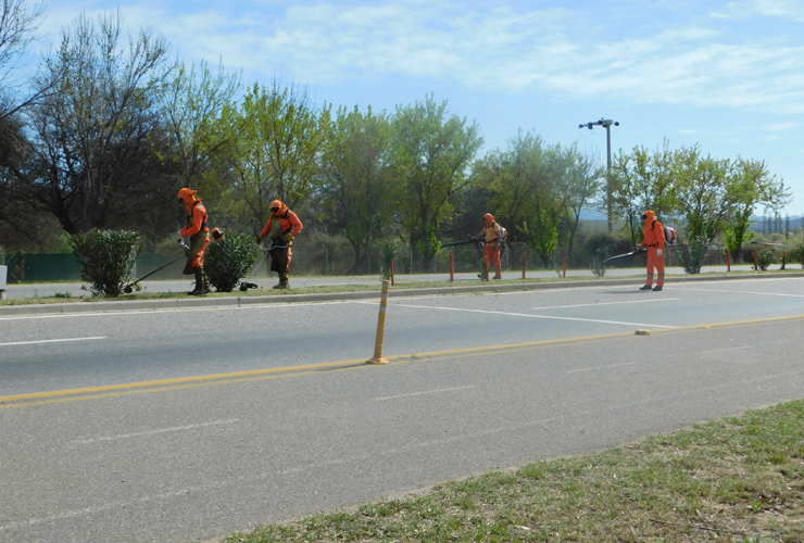 Desarrollan trabajos de poda, limpieza y corte de pasto en las rutas y autopistas provinciales.