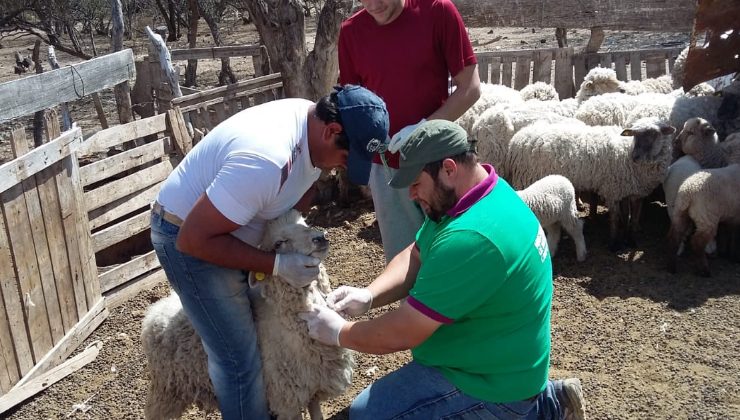 El Ministerio brindó asistencia sanitaria a productores del norte de la provincia