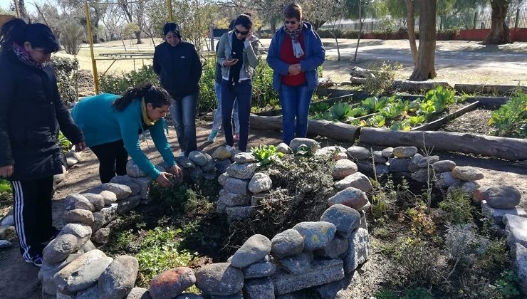 Brindarán una capacitación de huertas comunitarias e inclusivas para personal de parques