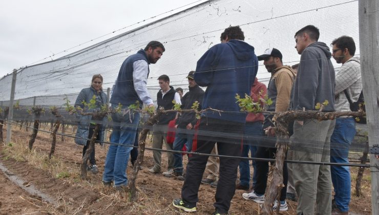 “Sol Puntano” recibió a alumnos de Agronomía de la UNSL