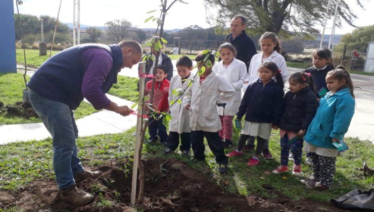 Los frutales llegaron a más de 130 escuelas provinciales