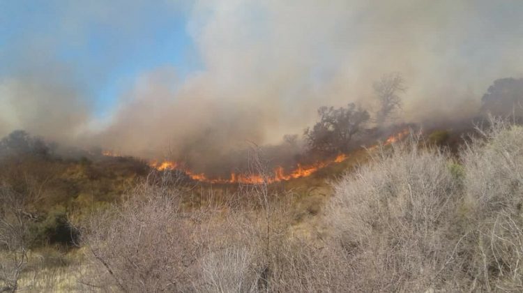 Controlaron los incendios de Riocito y la zona de la reserva florofaunística