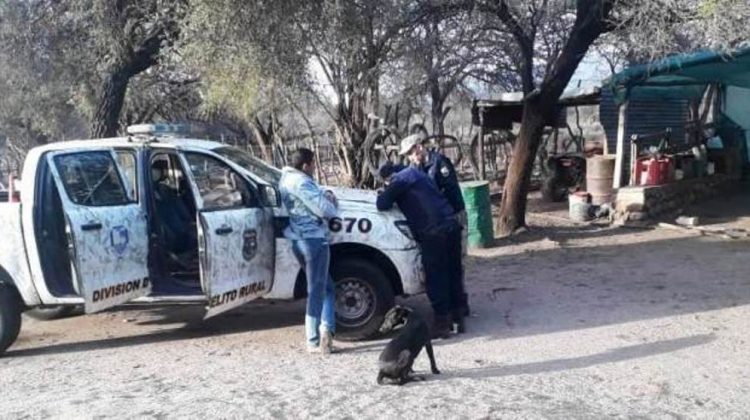 Implementan medidas de prevención de accidentes por animales sueltos