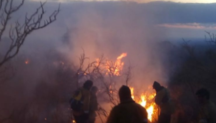 Sofocaron el incendio en cercanías a Villa de La Quebrada